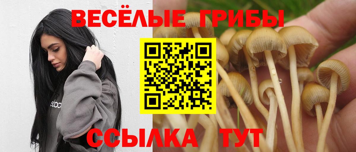 Галлюциногенные грибы Cubensis  Галлюциногенные грибы GOLDEN TEACHER  Корсаков  Вход с VPN 