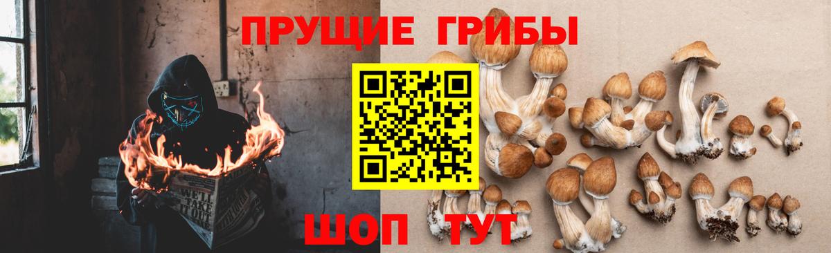 Галлюциногенные грибы ЛСД Корсаков